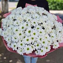 Купить цветы в магазине в городе Красноярск